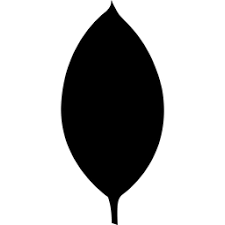 MongoDB Icon