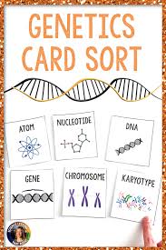 Levels Of Biological Organization From Smallest To Largest Ppt Genetics Levels Of Organization Inb Genetics Activities Biology Activities High School Biology Classroom