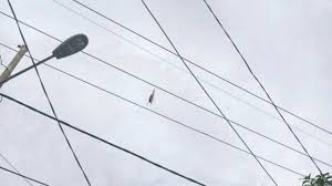 * cuaca ditunjukkan dalam waktu setempat. Pemkab Bondowoso Akan Keluarkan Surat Edaran Yang Mengatur Bermain Layangan Suara Jatim