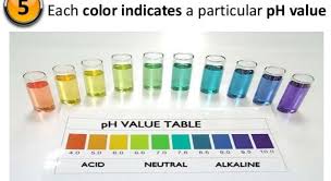 What Is Ph Of Water Methods Of Determining Ph Of Water