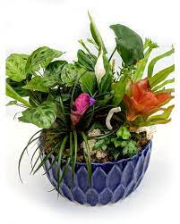 Explore your options and book your west palm beach to denver flight with southwest today! Wellington Florist Fresh Flower Delivery By Wellington Florist