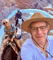 Sea horses after sunset