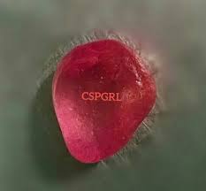 Csp Gem Research Lab Orange Red Ruby Origin Sri Lanka Red Orange Research Lab Gems