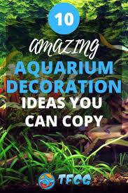 Free shipping on orders over $25 shipped by amazon. Wow 10 Cool Aquarium Decoration Ideas How To Copy Them 2021