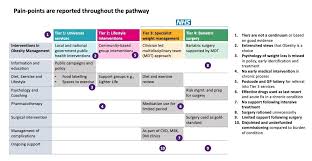 Image result for Obesity Management