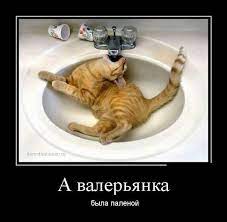 Демотиваторы, подборка фото
