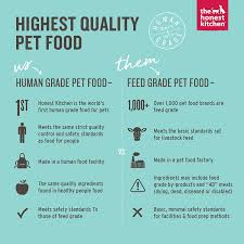 Honest kitchen dog food uk. Honest Kitchen The Embark Grain Free Dog Food Natural Human Grade Dehydrated Dog Food Turkey 10 Lbs Makes 40 Lbs Amazon Co Uk Pet Supplies