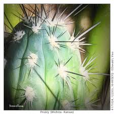 Cactus spines are a herblore ingredient and common farming crop. Spines On Cactus Are Leaves Modified To Protect The Plant Other Cool Photos Topaz Discussion Forum
