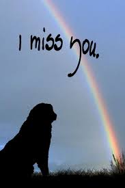 Leonberger Looking At A Rainbow 3 50 Via Etsy Miss My Dog Pet Loss Grief Dog Love