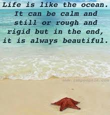 From sweet and sentimental, to famous and funny, browse this extensive list of quotes to use in your wedding stationery and throughout your big day! Ocean Quotes Life Quotesgram Ocean Quotes Beach Quotes Beautiful Quotes