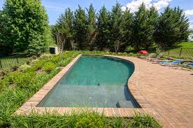 It is very difficult to created a curved pool using common building materials, so most homeowners buy inserts or hire professionals. Curved Pool Northern Delaware Field Of Dreams