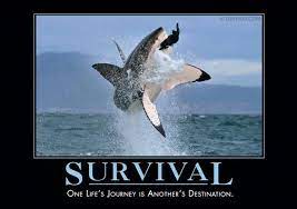 Pin On De Motivational Posters