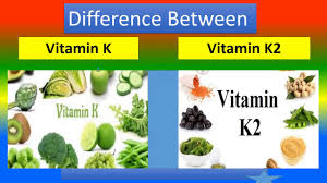 What's the difference between vitamin k1 and vitamin k2? Difference Between Vitamin K And Vitamin K2 Youtube