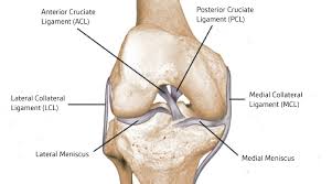 Acl knee injury facts and treatment tips. Ligament Injuries And Acl Reconstruction Dr Bu Balalla
