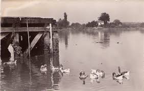 Some error detected we infomr the webmaster. Ville De Saint Martin De Seignanx La Mairie De Saint Martin De Seignanx Et Sa Commune 40390