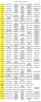Best Food Chart Ever Health Food Charts Healthy Eating