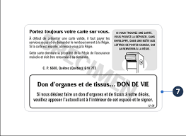 You have your photo taken on the premises. Using Your Health Insurance Card Regie De L Assurance Maladie Du Quebec Ramq