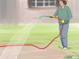 We did not find results for: How To Spread Lime 13 Steps With Pictures Wikihow