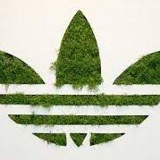 Aaron Rahim (aaronrahim)