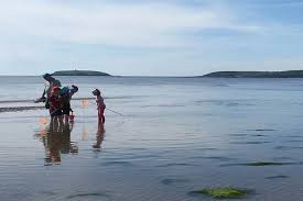 Quality Hotel Youghal Family Friendly Hotel Cork