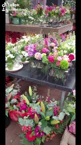 Tuincentrum Wolters Startseite Facebook