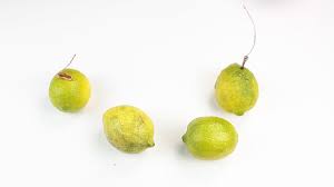 How To Create A Battery From A Lemon 14 Steps With Pictures