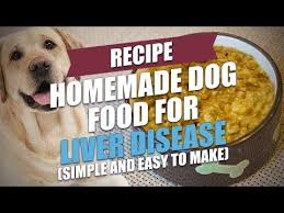 Homemade Dog Food For Liver Disease Recipe How To Video Homemade Dog Food Dog Food Recipes Liver Disease
