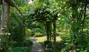 We did not find results for: Shade Tolerant Shrubs For Gardens In Victoria All Green