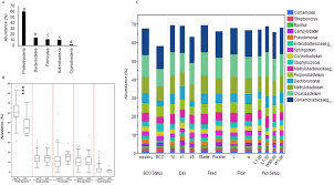 distribution of taxa at different level a bar chart at