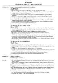 An executive resume is a type of document that is going to be used by an individual who's trying to get an executive position. Sales Executive Inside Sales Resume Samples Velvet Jobs