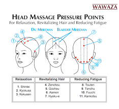 Japanese Five Row Tsuge Wood Brush Massage Benefits