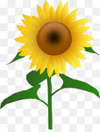 Yups bunga matahari atau sunflower adalah salah satu tanaman. Watercolor Flower Background