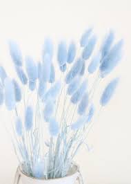 Dried Bunny Tail Grass Dried Blue Flowers And Grasses Afloral In 2020 Blue Flower Wallpaper Blue Aesthetic Pastel Light Blue Aesthetic