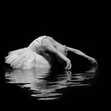 Black And White Swan Ballet Richard Calmes White Swan Dance Photography Ballet Beauty Photography