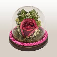 Here are eight methods for preserving those precious flowers. Funeral Flower Preservation Memorial Fantastic Blooms Ks Mo