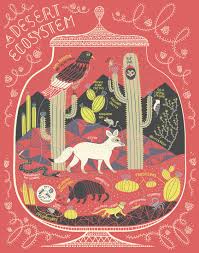 A Desert Ecosystem Terrarium Art Print Art Prints Art Desert Ecosystem