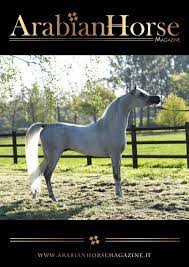 Arabian Horse Magazine N2 2020 By Arabian Horse Magazine Issuu