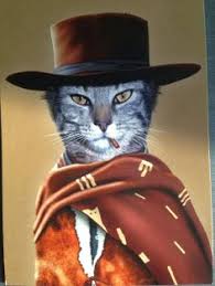 Explore @_cowboy_cat_ twitter profile and download videos and photos 16 y/o i put the bi in biodegradable they/them memento mori | twaku. 41 Cats Cowboy Cowgirl Ideas Cats Cowboy And Cowgirl Animals
