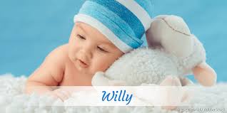 Willy » Name mit Bedeutung, Herkunft, Beliebtheit & mehr