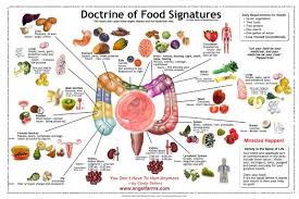 Let Food Be Thy Medicine Doctrine Of Signatures Chart In