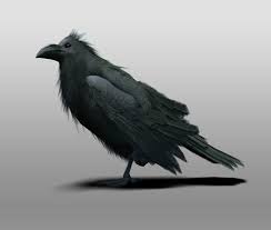 3d Model Raven C4d Obj 3ds Fbx Ma Lwo 66798 3d Model Raven Model