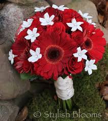 Since gerberas come in different sizes; Red Gerbera Bridal Bouquet By Stylish Blooms Bridal Bouquet Red Bridal Bouquet Gerbera Bridal Bouquet