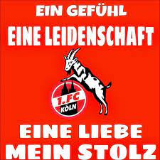 Fc profis drücken sich sprüche. 1 Fc Koln