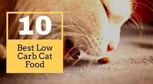 Low Carb Cat Food In 2020 Cat Food Reviews Cat Food Low Carb