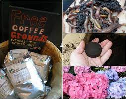 Coffee grounds on cucumbers can offer you many choices to save money thanks to 18 active results. 10 Genius Ways To Use Old Coffee Grounds In Your Garden