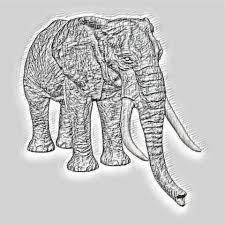 Download Free Photo Of African Elephant Mannequin Pencil Drawing From Needpix Com 4,042 likes · 50 talking about this · 3 were here. download free photo of african elephant