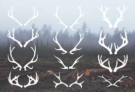 Maybe you would like to learn more about one of these? Deer Antlers 12 Hand Drawn Vectors Antler Tattoos How To Draw Hands Hand Drawn Vector Illustrations