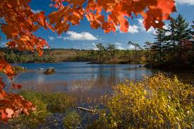 Der kanadische indian summer im überblick. Indian Summer Nova Scotia Kanada Foto Bild Jahreszeiten Herbst Kanada Bilder Auf Fotocommunity
