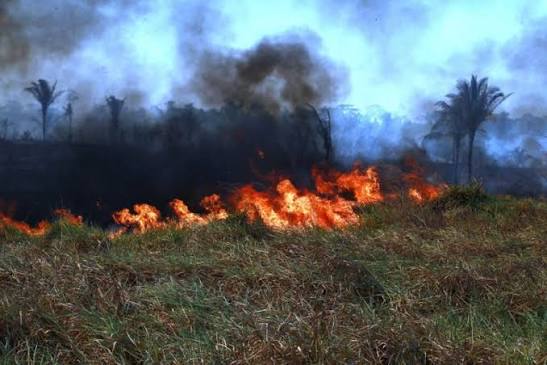 Nova lei define regras para uso do fogo em áreas rurais - Portal da Câmara dos Deputados