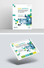 Bayer Rego Xperience Proyectos